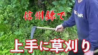 動画4のサムネイル